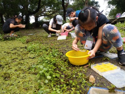 2. 夏「探訪生物基地」